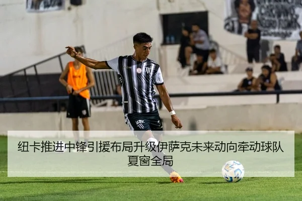 纽卡推进中锋引援布局升级伊萨克未来动向牵动球队夏窗全局